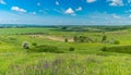 Panoramic landscape with fields and water-meadows near Oril river in central Ukraine Royalty Free Stock Photo