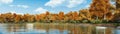 Panoramic landscape of forest lake shore at autumn Royalty Free Stock Photo