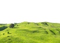 Panoramic landscape with green grass hill isolated on white background Royalty Free Stock Photo