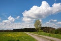 Panoramic landscape with hiking trail, springtime, Bergisches Land, Germany