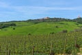Panoramic landscape of the Italian Tuscan town with stone houses, a fortress on the mountain and green fields in spring