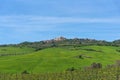 Panoramic landscape of the Italian Tuscan town with stone houses, a fortress on the mountain and green fields in spring