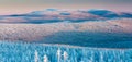 Panoramic landscape of Jizera Mountains, view from peak Izera with frosty spruce forest, trees and hills. Winter time Royalty Free Stock Photo