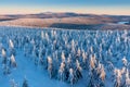 Panoramic landscape of Jizera Mountains, view from peak Izera with frosty spruce forest, trees and hills. Winter time Royalty Free Stock Photo