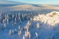 Panoramic landscape of Jizera Mountains, view from peak Izera with frosty spruce forest, trees and hills. Winter time Royalty Free Stock Photo