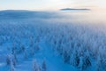 Panoramic landscape of Jizera Mountains, view from peak Izera with frosty spruce forest, trees and hills. Winter time Royalty Free Stock Photo