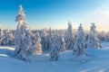 Panoramic landscape of Jizera Mountains, view from peak Izera with frosty spruce forest, trees and hills. Winter time Royalty Free Stock Photo