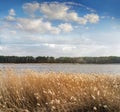 Panoramic landscape with lake shore and cloudy sky  in spring Royalty Free Stock Photo