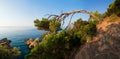 Panoramic landscape of mediterranean nature in Spain. Sea coast in Costa Brava