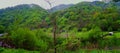 Panoramic landscape near the Village of Capalna Romania Royalty Free Stock Photo