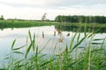 Panoramic landscape of pond in morning fog