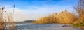 Panoramic landscape with reeds on a lake shore Royalty Free Stock Photo