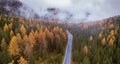 Panoramic landscape of road in autumn forest, fall season Royalty Free Stock Photo