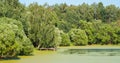 Panoramic landscape of russian nature in summer. View on pond overgrown with duckweed Royalty Free Stock Photo