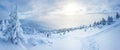 Panoramic landscape of a snowy forest in the mountains on a sunny winter day whis. Ukrainian Carpathians, near Mount Petros, there