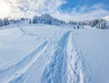 Panoramic landscape of a snowy forest in the mountains on a sunny winter day whis. Ukrainian Carpathians, near Mount Petros, there