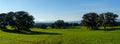 Panoramic of landscape with trees in meadow with green grass and mountains in background under a blue sky Royalty Free Stock Photo