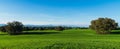 Panoramic of landscape with trees in meadow with green grass and mountains in background under a blue sky Royalty Free Stock Photo