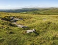 Panoramic landscape view across Dartmoor National Park in Summer with wide views of several tors and valleys Royalty Free Stock Photo