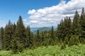 Panoramic view - Bucegi Mountains, Southern Carpathians, Romania Royalty Free Stock Photo