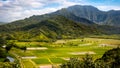 Panoramic landscape view of Hanalei valley and green taro fields