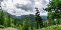 Panoramic landscape view on mountain range with coniferous forest in wild taiga Royalty Free Stock Photo