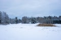 Panoramic landscape view of row of trees in snowy winter forest. Silhouettes of bare trees and evergreens against cold cloudy sky.