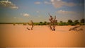 Panoramic landscape view to sahel and oasis Dogon Tabki with flooded river , Dogondoutchi, Niger Royalty Free Stock Photo