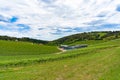 Panoramic landscape of vineyard with green grape vines Royalty Free Stock Photo