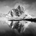 Panoramic landscape, winter mountains and fjord reflection in water. Norway, the Lofoten Islands. Colorful winter sunset. Royalty Free Stock Photo