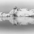 Panoramic landscape, winter mountains and fjord reflection in water. Norway, the Lofoten Islands. Colorful winter sunset. Royalty Free Stock Photo