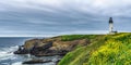 Panoramic landscape Yaquina Head Outstanding Natural Area with its lighthouse and rocky basaltic headlands, Oregon Coast, Newport Royalty Free Stock Photo