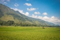 Panoramic landscapes with rice plantations in Samosir Island, Lake Toba, North Sumatra. Indonesia Royalty Free Stock Photo