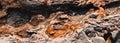 Panoramic lava stone, rock texture. Colored background, copy space Royalty Free Stock Photo