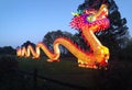 Panoramic Light Up Dragon