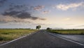 Panoramic of a long empty asphalt road towards sunset sky. Empty copy space Royalty Free Stock Photo