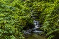 Various views of the Jibhi Waterfall Royalty Free Stock Photo