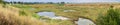 Panoramic Marsh Landscape, Shoreline Park, Mountain View, California Royalty Free Stock Photo