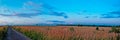 Panoramic meadows and sky