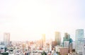 Panoramic modern city skyline bird eye aerial view from tokyo tower under dramatic sunrise and morning blue sky in Tokyo, Japan