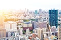 Panoramic modern cityscape building bird eye aerial view from tokyo tower under sunrise and morning blue bright sky in Tokyo, Japa