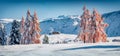 Panoramic morning view of Alpe di Siusi village. Sunny winter scene of Dolomite Alps. Royalty Free Stock Photo
