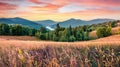 Panoramic morning view of the valley of Lacul Dragan lake, Cluj County, Romania. Royalty Free Stock Photo