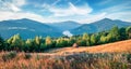 Panoramic morning view of the valley of Lacul Dragan lake, Cluj County, Romania.