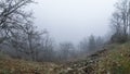 Panoramic mountain landscape on a day with intense fog and low visibility