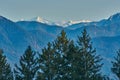 Panoramic mountain landscape in the German alps. Snowy mountain peaks in the alps. Snowy mountain peaks with conifers in the Royalty Free Stock Photo