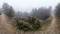 Panoramic of mountain landscape with path that is lost in the thick fog