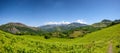 Panoramic of mountain landscape in summer. Pyrenees Royalty Free Stock Photo