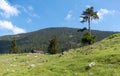 Panoramic mountain view Royalty Free Stock Photo