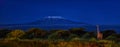 Panoramic, night picture of Mount Kilimanjaro with Masai giraffe in front, snow capped highest african mountain, lit by full moon